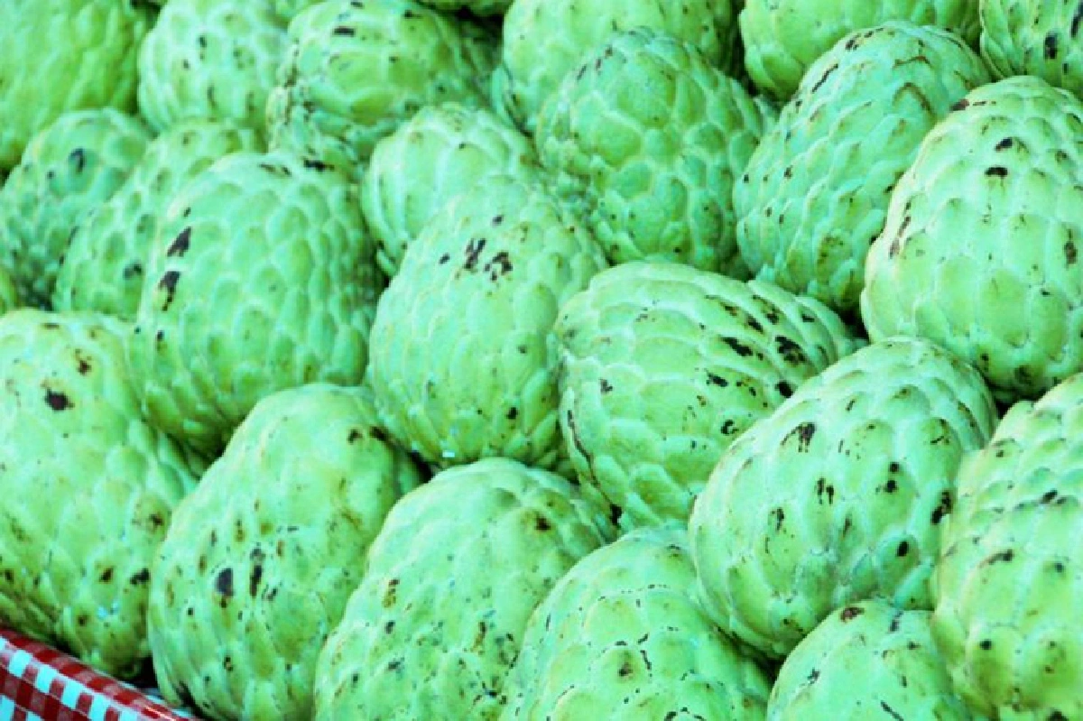 เปลี่ยนเรื่อง ‘เครียด’ ให้เป็นเรื่อง ‘เที่ยว’