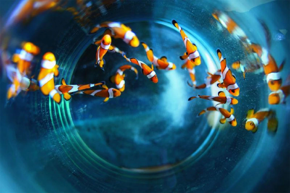 เปลี่ยนเรื่อง ‘เครียด’ ให้เป็นเรื่อง ‘เที่ยว’