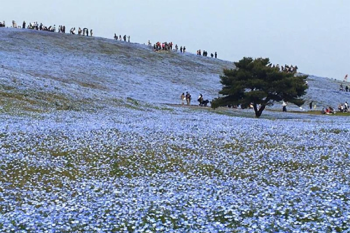 อาชีพเก๋ๆ ของฮิปสเตอร์