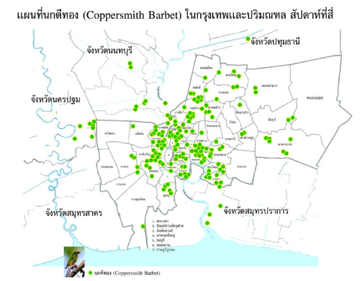 กรุงเทพฯ เคยมีเสือ ตอนนี้เหลือแค่แมว