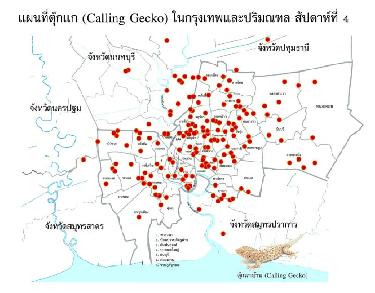 กรุงเทพฯ เคยมีเสือ ตอนนี้เหลือแค่แมว