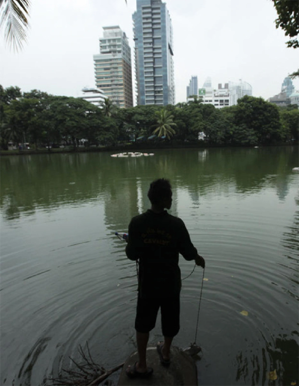 กรุงเทพฯ เคยมีเสือ ตอนนี้เหลือแค่แมว