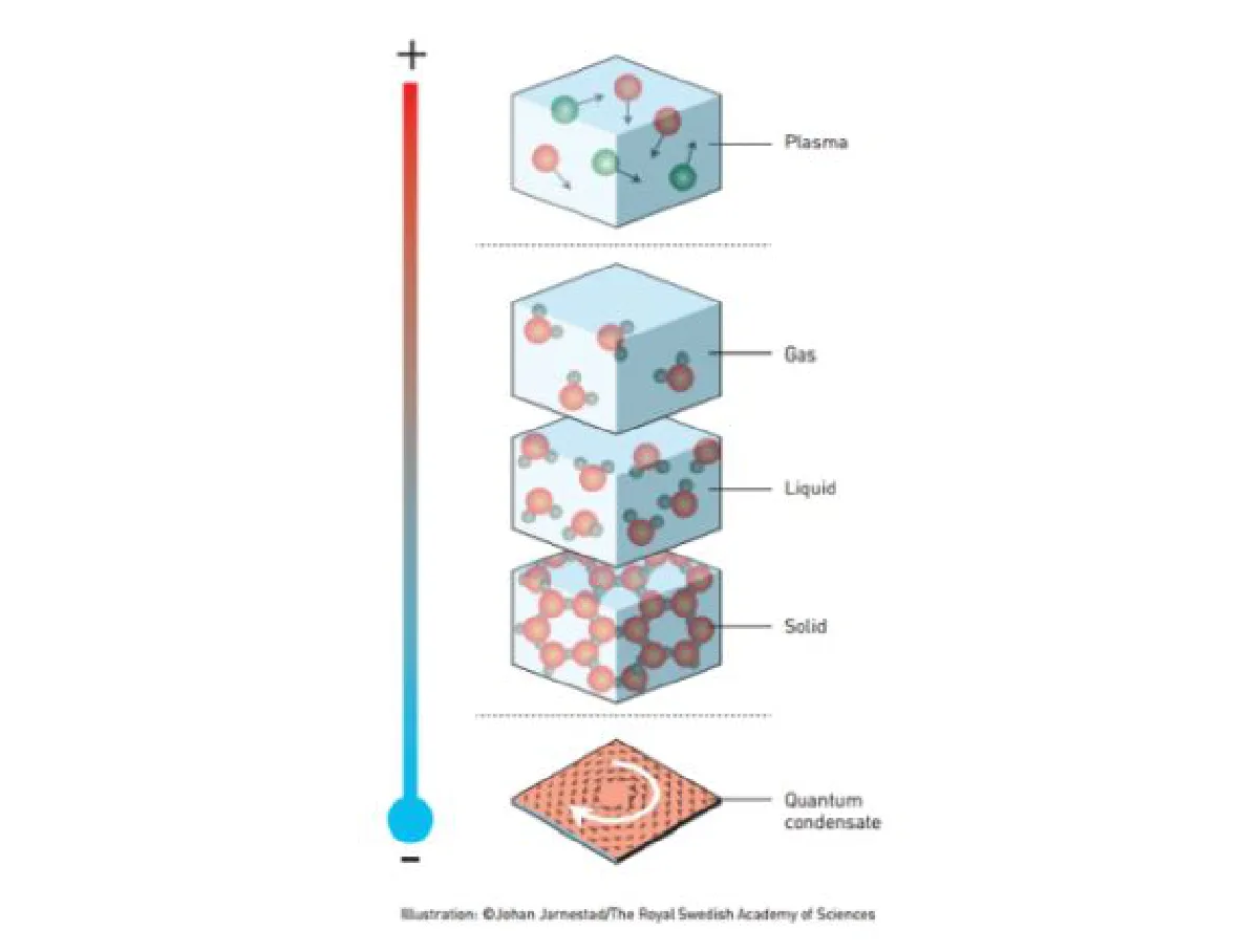 Physics Nobel Prize: Exotic matter & topology