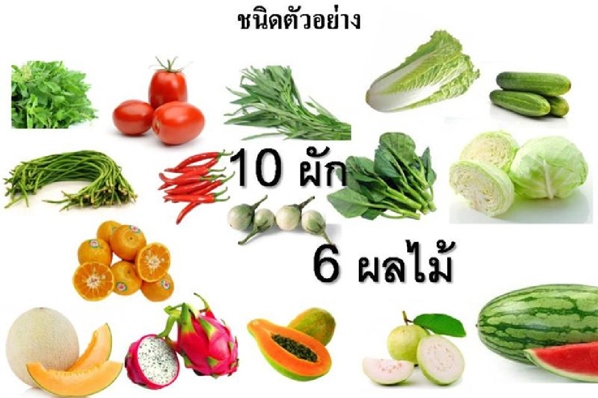 กินเจผวาสารพิษในผักผลไม้ 68 ชนิด คะน้า-ส้มสายน้ำผึ้งครองแชมป์ กินเจผวาสารพิษในผักผลไม้ 68 ชนิด คะน้า-ส้มสายน้ำผึ้งครองแชมป์