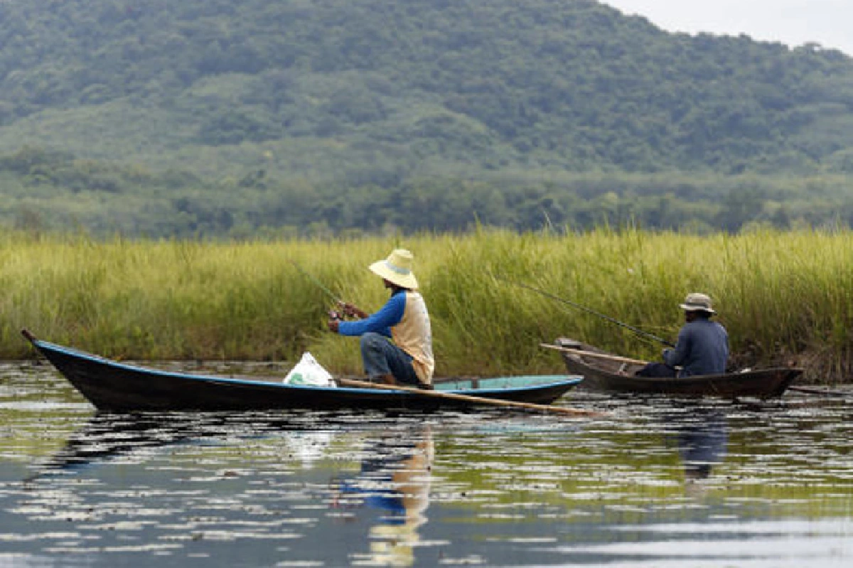 วันจันท์สีเขียว วันระยองสีเหลือง