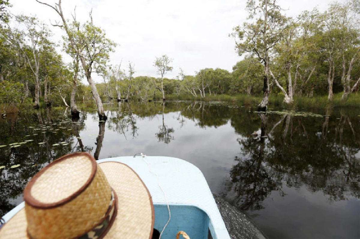 วันจันท์สีเขียว วันระยองสีเหลือง