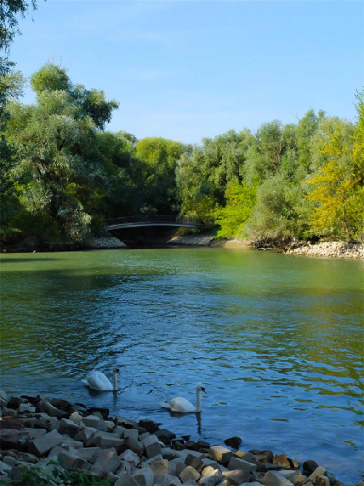 Mannheim : The Smart City, Smart Life.