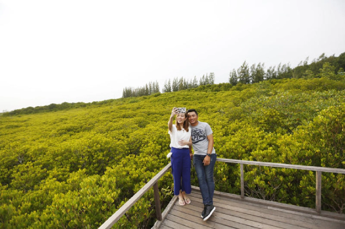 วันจันท์สีเขียว วันระยองสีเหลือง