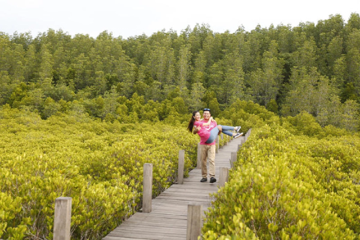 วันจันท์สีเขียว วันระยองสีเหลือง