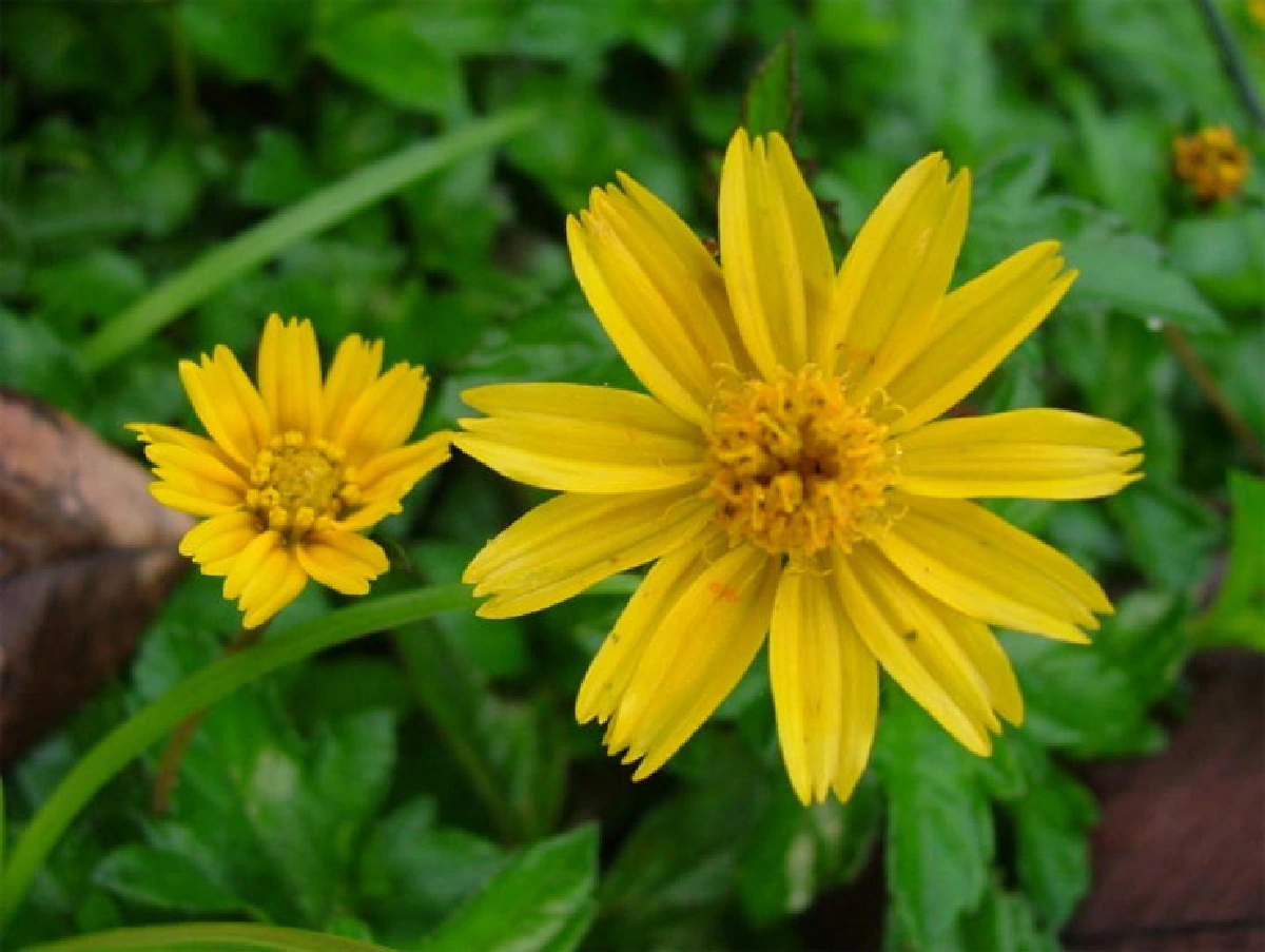 เจ็ดคด-โป่งก้อนเส้า เรารักษ์ธรรมชาติ