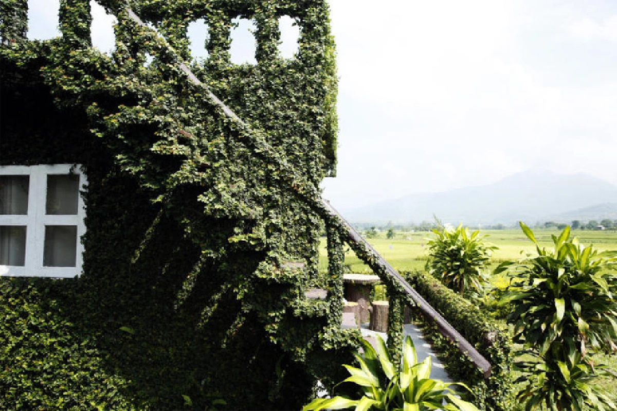 ทุ่งนากับเวลาที่ช้าลง ตูบนาโฮมสเตย์