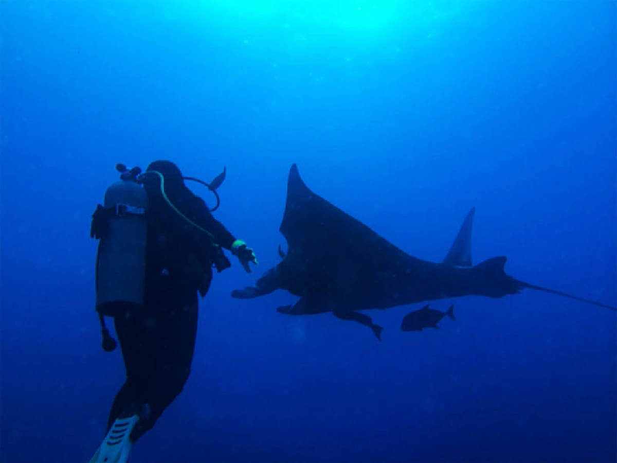 วิชัย อิ่มสุขสม การดำน้ำดีต่อใจ