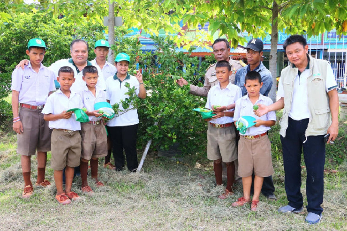 เดินตามรอยพ่อหลวง เลี้ยงหมูปลูกผักอินทรีย์