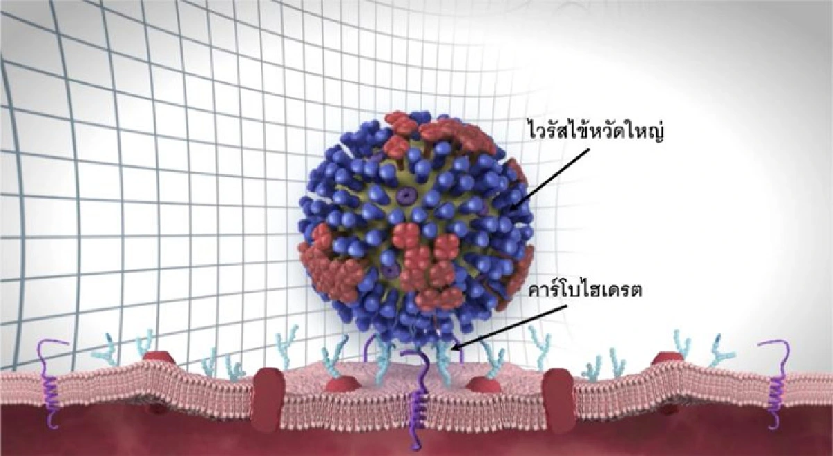 นาโนเทคโนโลยีต้านไวรัส
