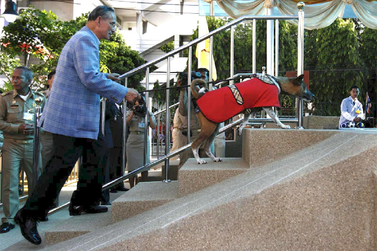 คนหลังกล้อง ผู้บันทึกก้าวพระบาท