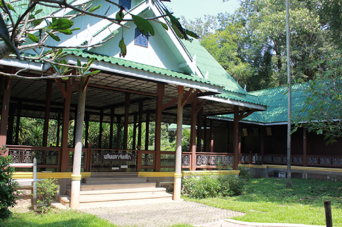 เปิดสวนพฤกษศาสตร์ชมต้นไม้ที่พ่อเคยปลูกเมื่อ58ปีก่อน