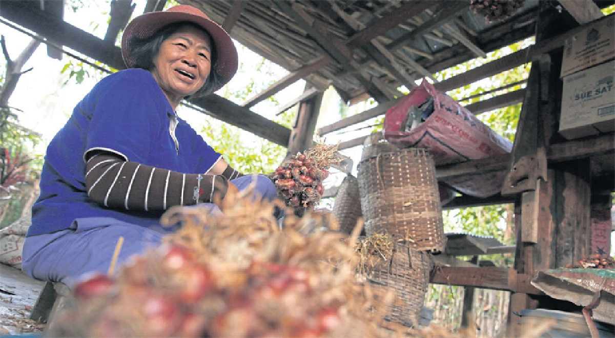 ข้าวและชาวเขา พ่อของเราที่แม่ฮ่องสอน