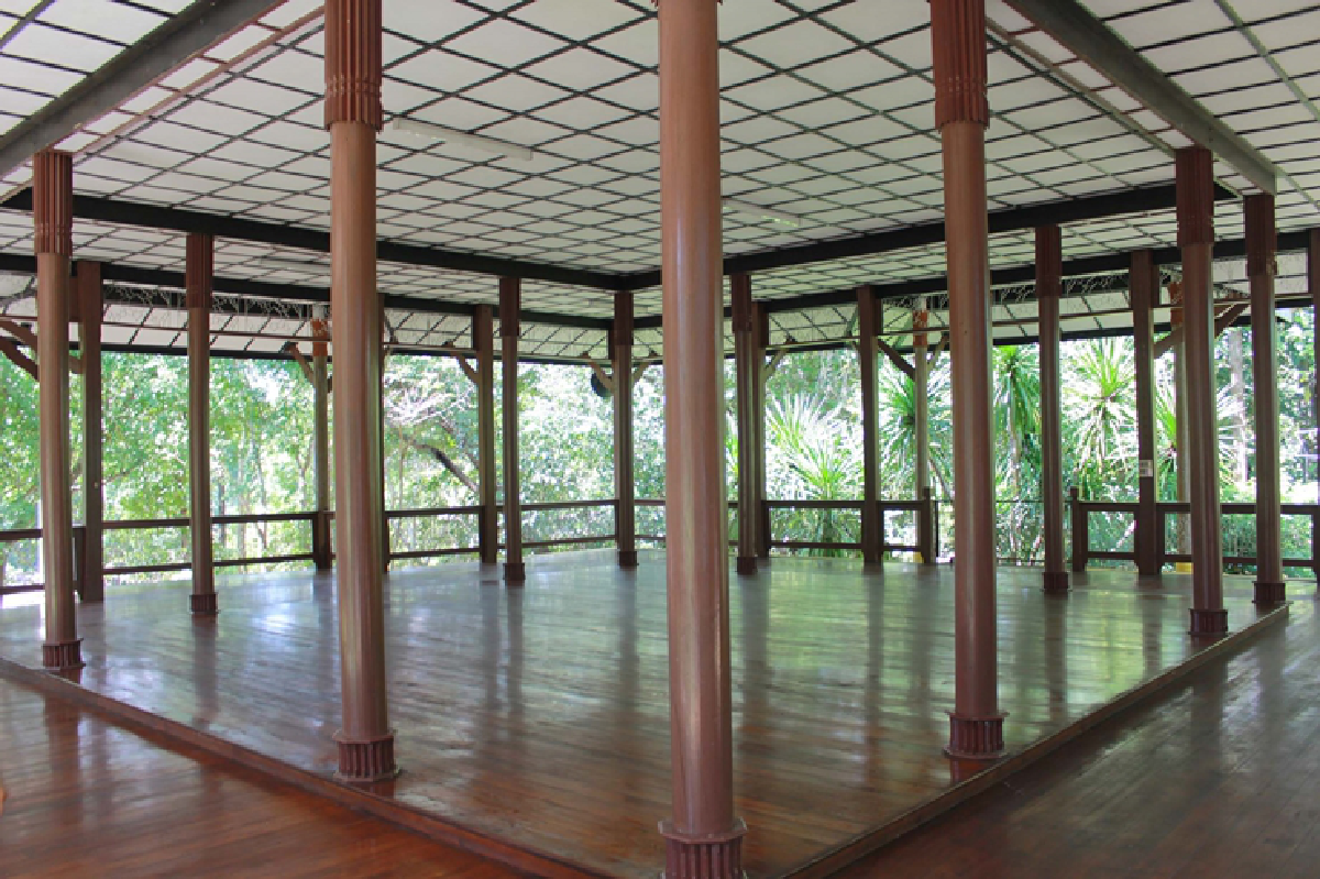 เปิดสวนพฤกษศาสตร์ชมต้นไม้ที่พ่อเคยปลูกเมื่อ58ปีก่อน