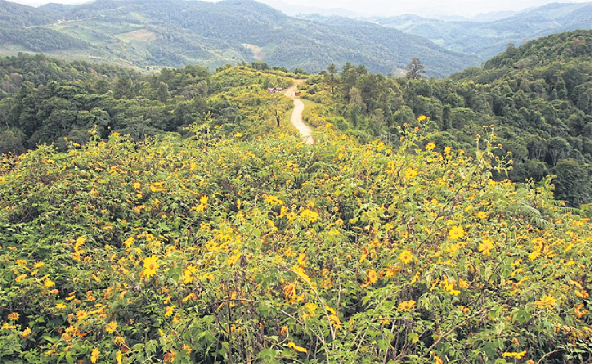 ข้าวและชาวเขา พ่อของเราที่แม่ฮ่องสอน