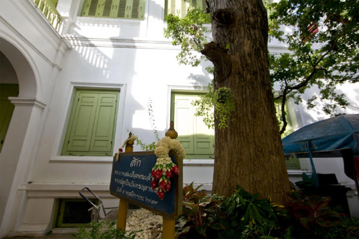 ต้นไม้ทรงปลูก ตลอด 70 ปีครองราชย์