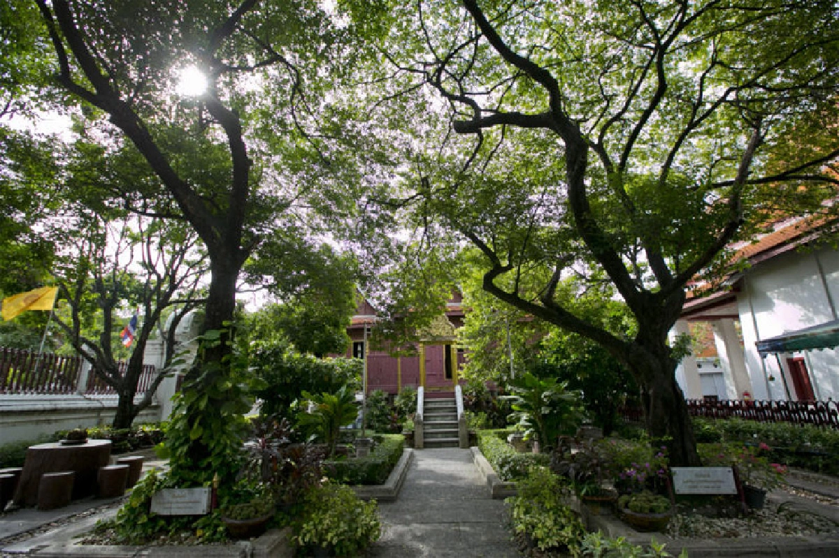 ต้นไม้ทรงปลูก ตลอด 70 ปีครองราชย์