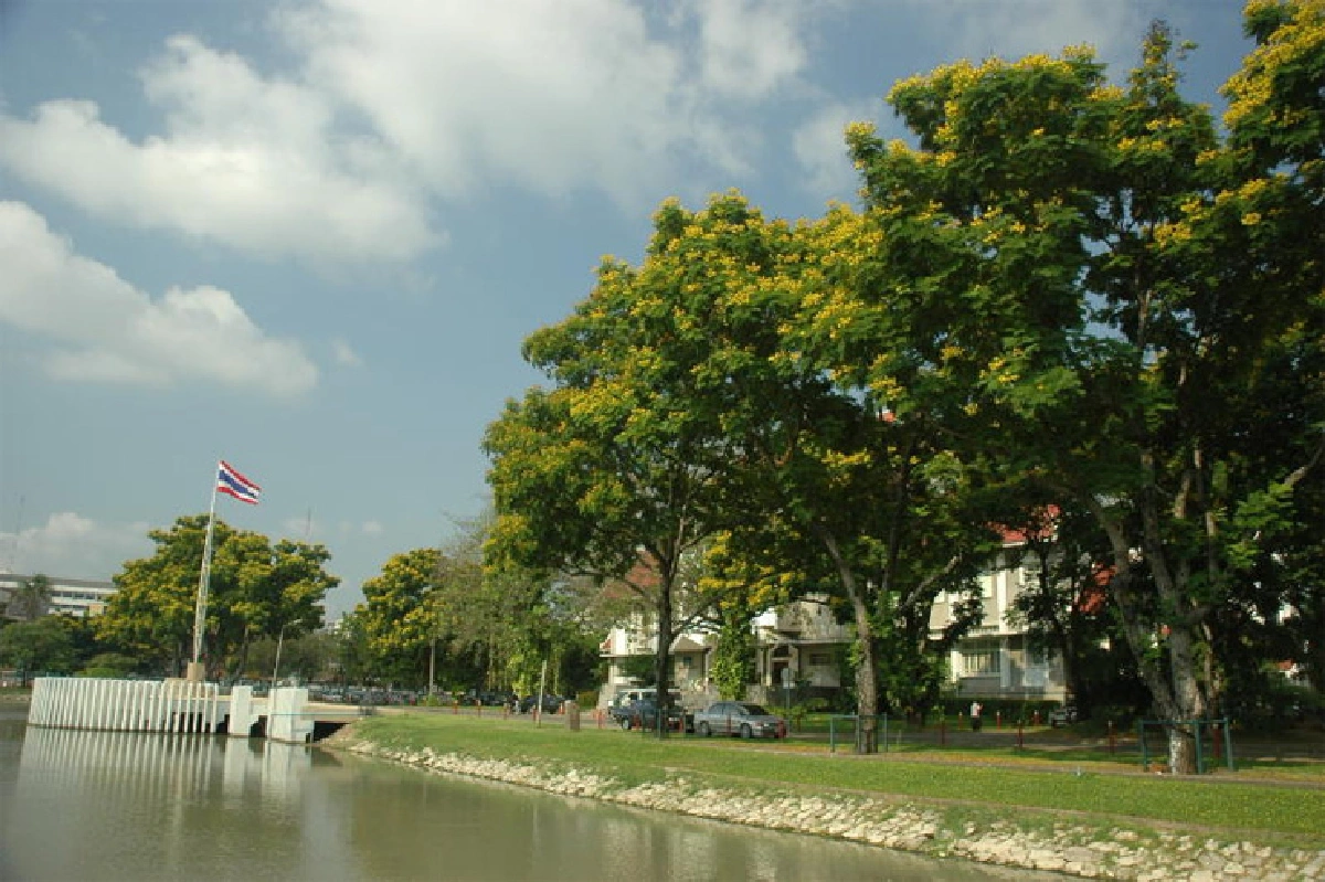 ต้นไม้ทรงปลูก ตลอด 70 ปีครองราชย์