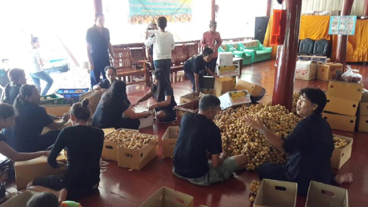 วีรกรรมน่ารักของ"ยายเขือม แก้วสุข"หญิงชราผู้ส่งลองกองให้นายกฯตู่