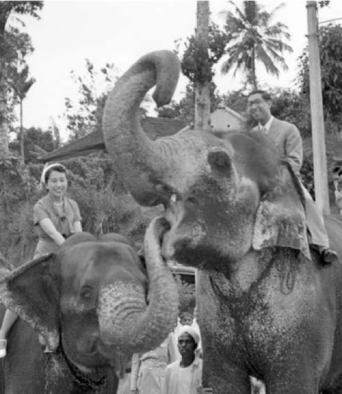 เจ้าชายทะกะฮิโตะ สิ้นพระชนม์ ด้วยพระชนมายุ 100 พรรษา