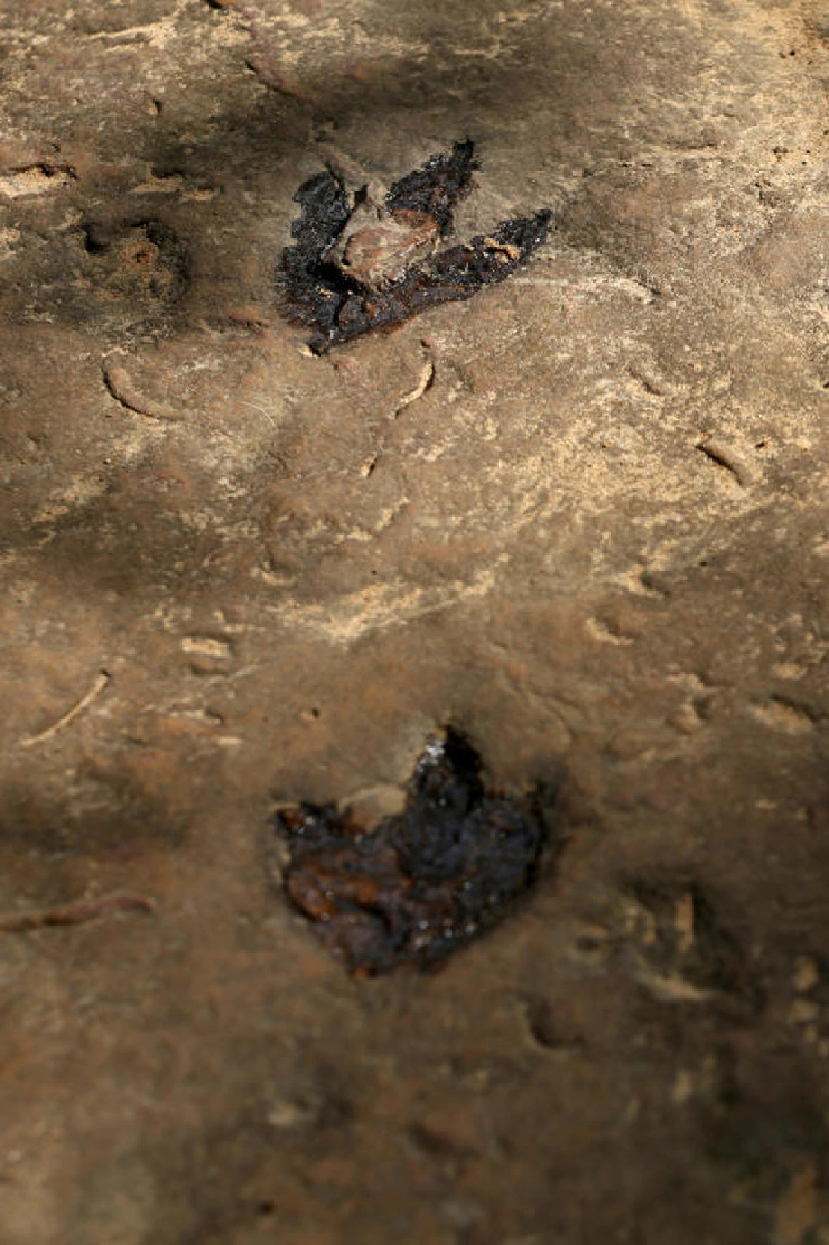 ภูเวียง ดินแดนของเจ้าฟ้า