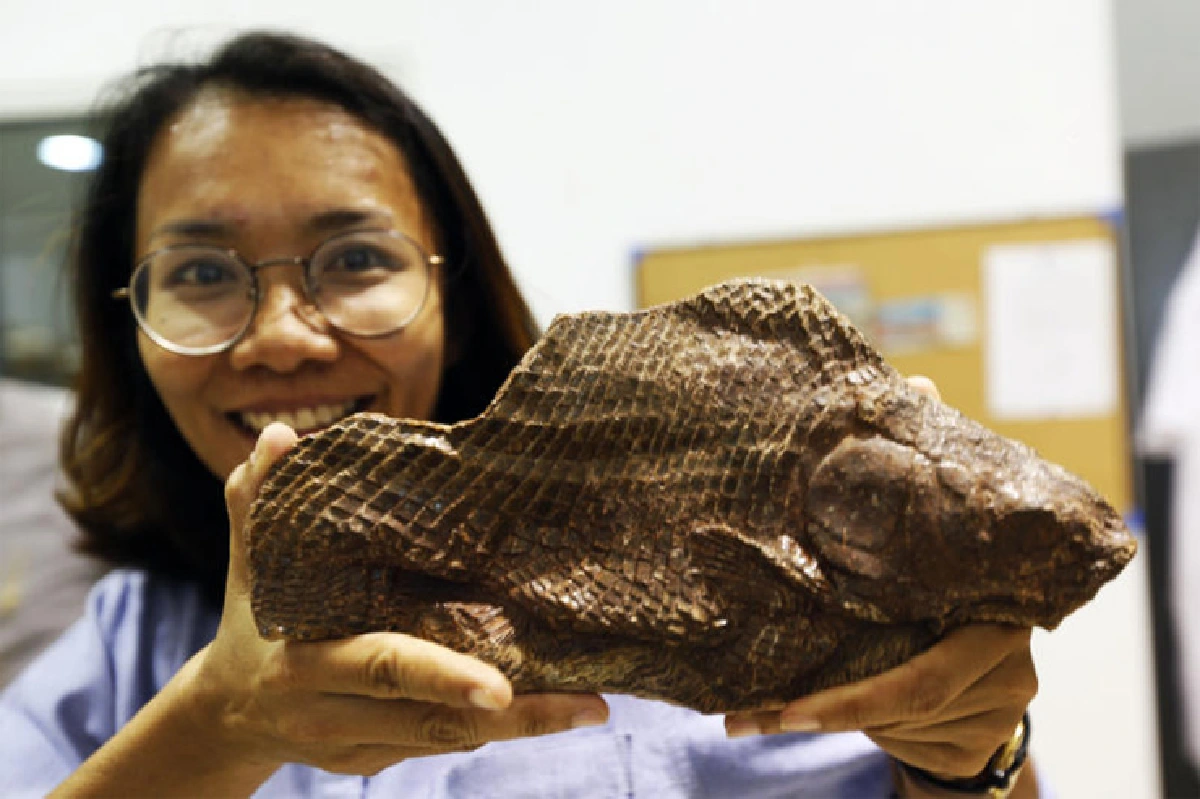 ภูเวียง ดินแดนของเจ้าฟ้า