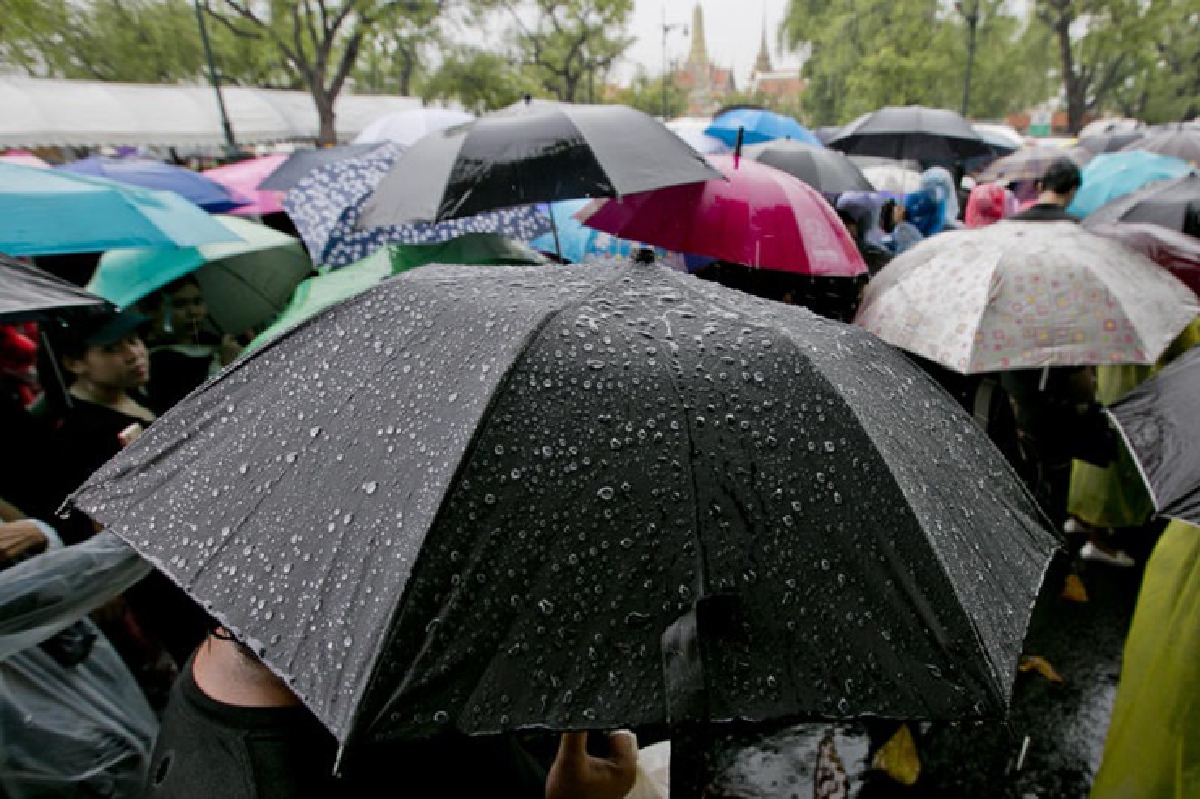 เตือนภาคใต้ฝั่งตะวันออกฝนหนักมากบางแห่ง-กทม.70% เตือนภาคใต้ฝั่งตะวันออกฝนหนักมากบางแห่ง-กทม.70%
