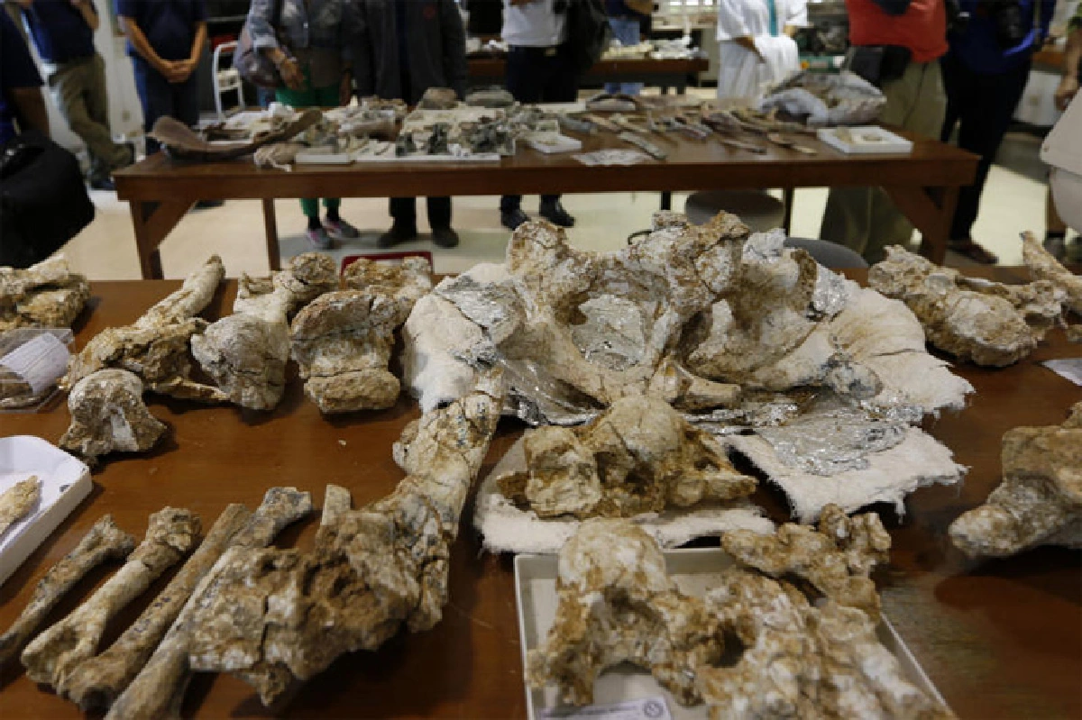 ภูเวียง ดินแดนของเจ้าฟ้า