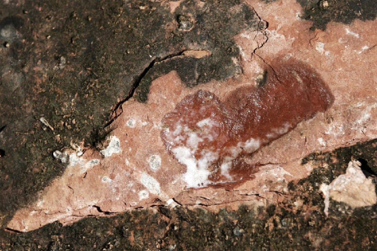 ภูเวียง ดินแดนของเจ้าฟ้า