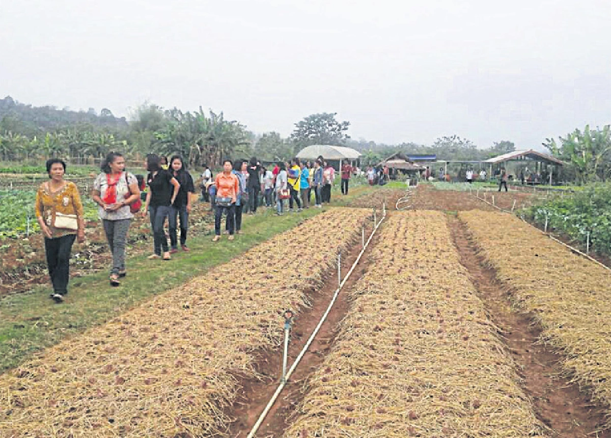 ‘ภูพาน’ ต้นแบบพัฒนาอีสาน