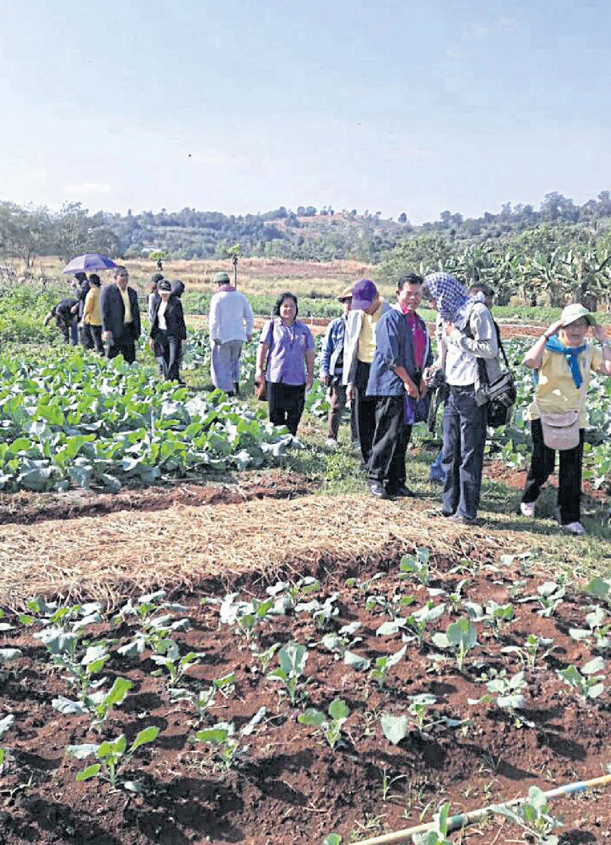 ‘ภูพาน’ ต้นแบบพัฒนาอีสาน