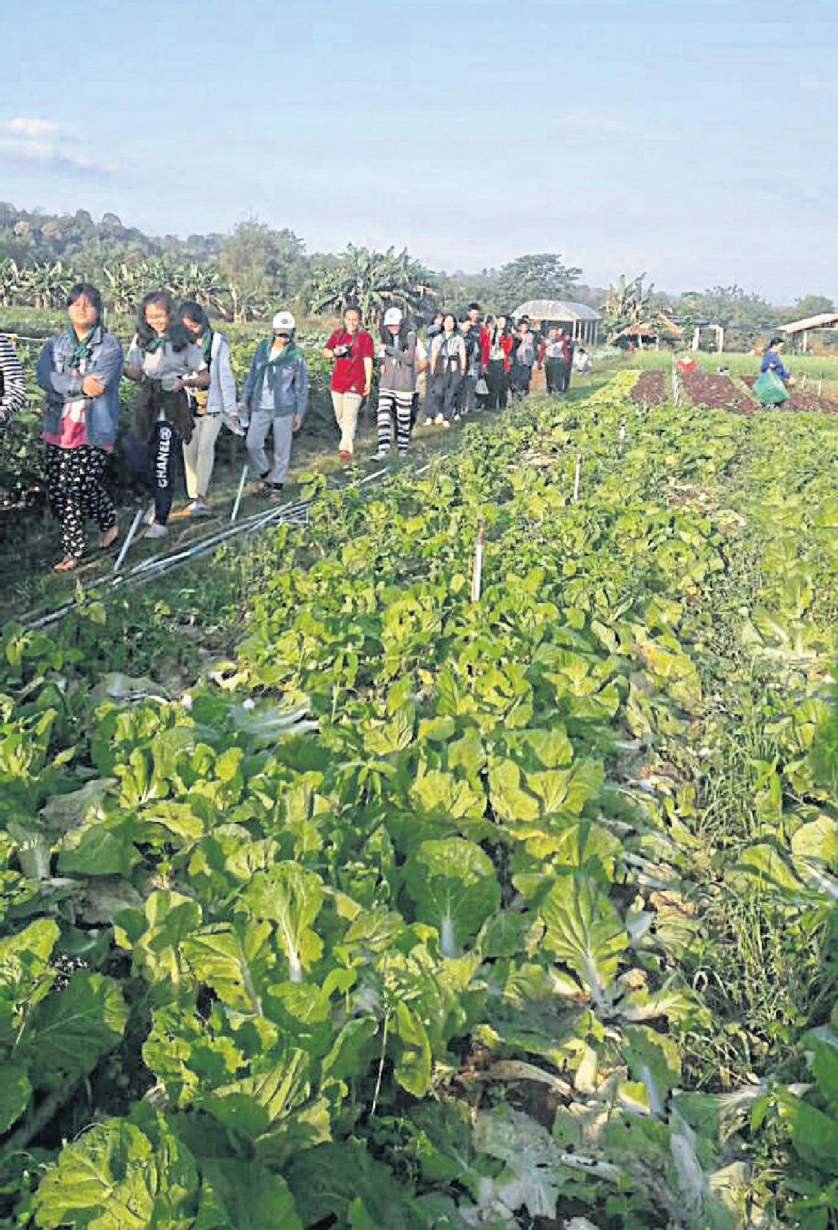 ‘ภูพาน’ ต้นแบบพัฒนาอีสาน