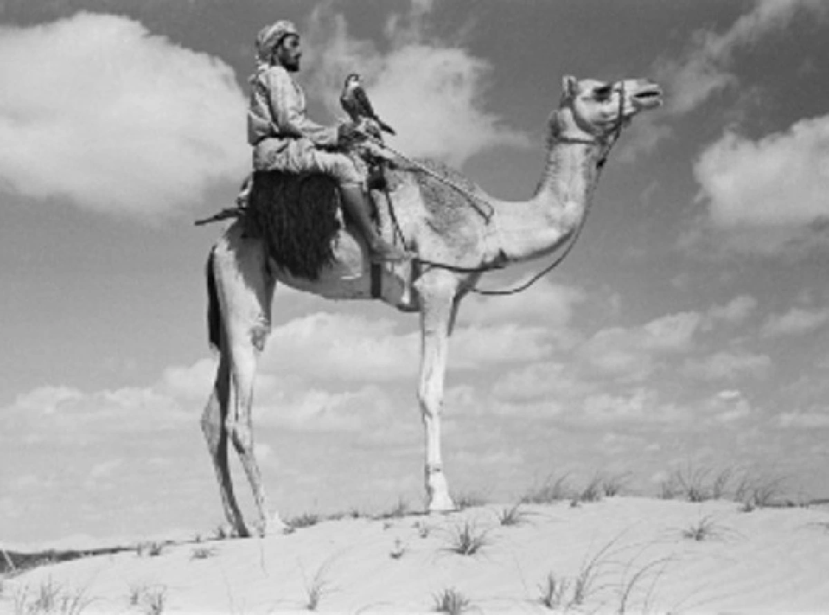 ชมภาพ 70 ปีที่ผ่านมา ของสหรัฐอาหรับเอมิเรตส์