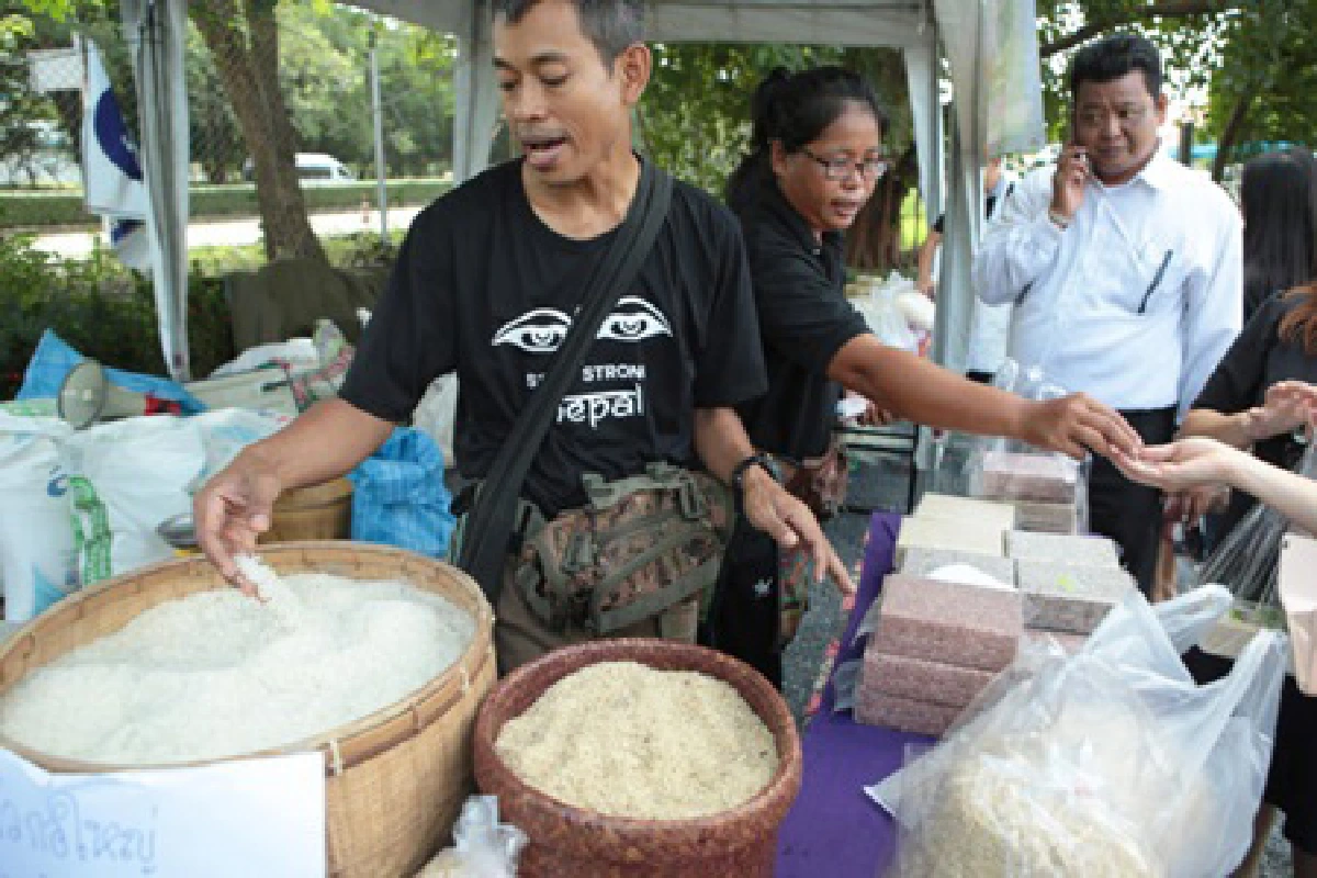 มธ.ผุดโมเดลช่วยชาวนา กระจายข้าวถึงผู้บริโภคตรง