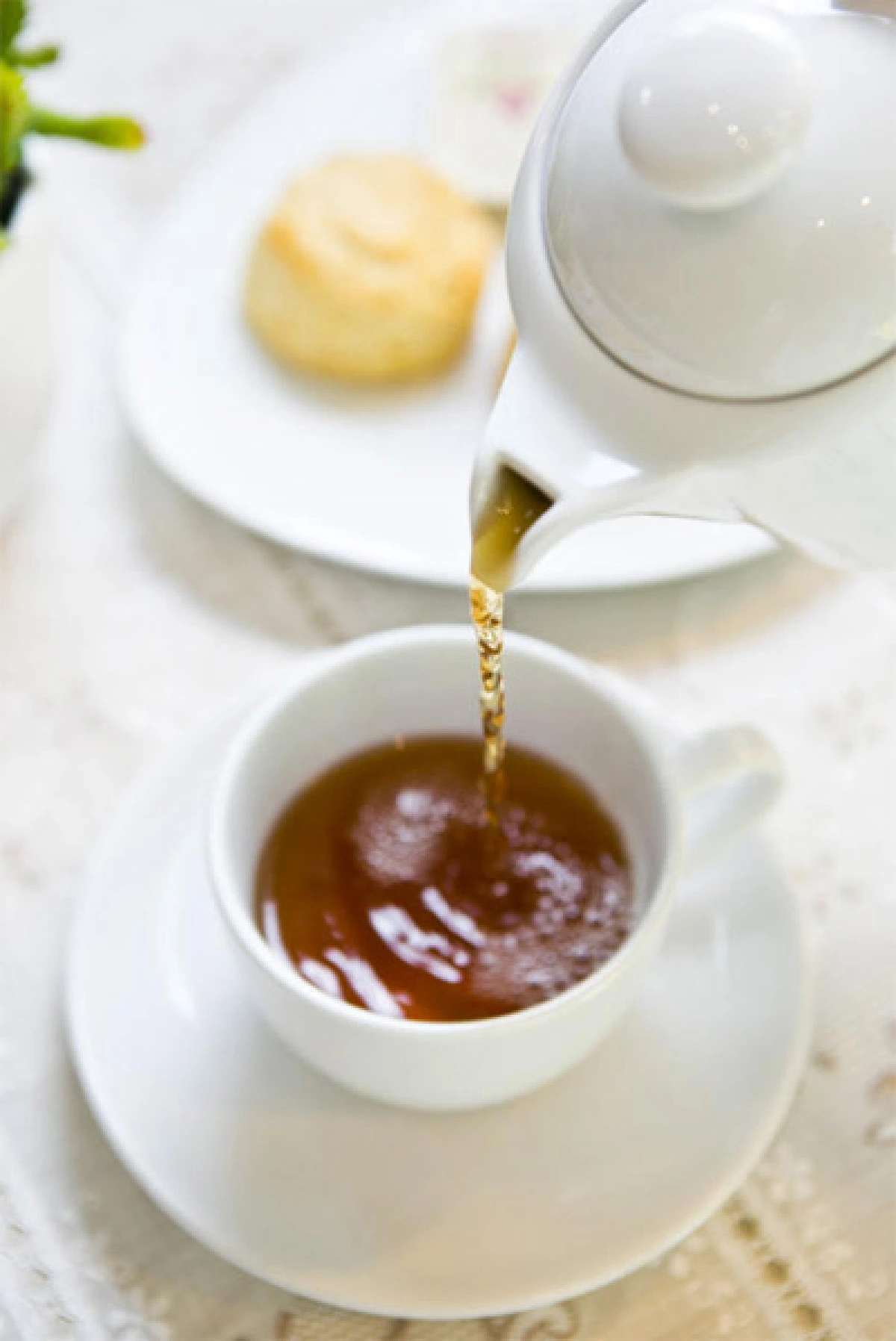 บีไฮฟ์ บันส์ เบเกอรี คาเฟ่เพื่อคนรักขนมปัง