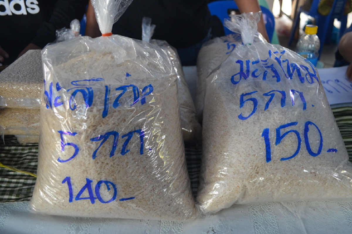 โคราชเปิดจุดหน่ายข้าวช่วยชาวนาประชาชนแห่ซื้อเกลี้ยง