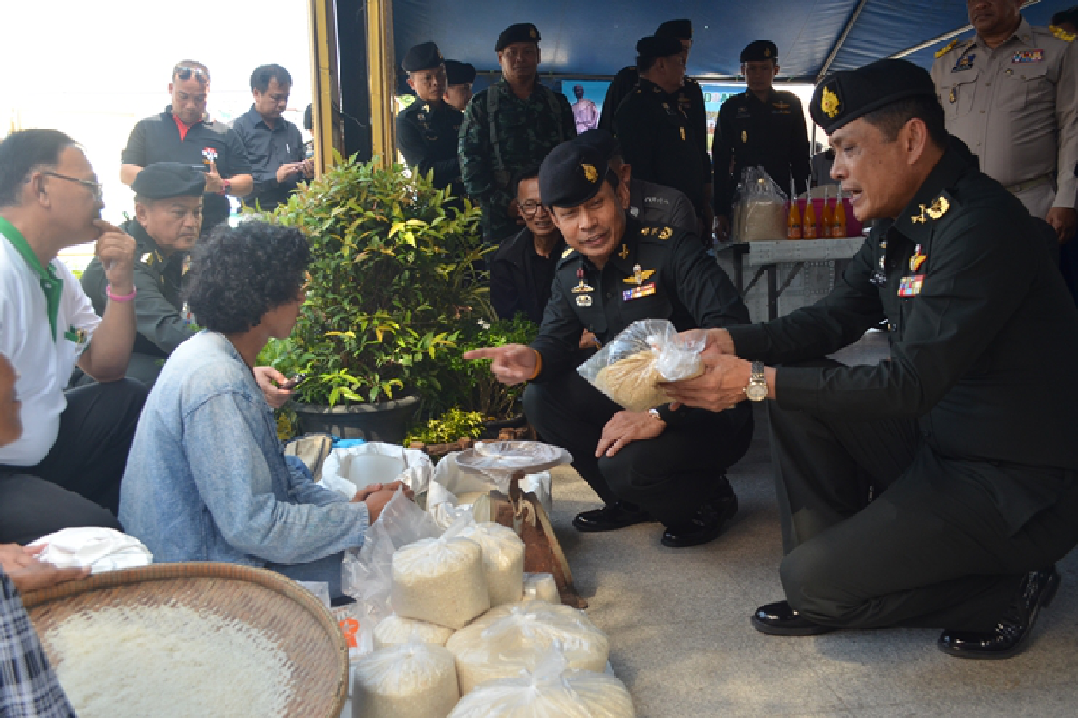 โคราชเปิดจุดหน่ายข้าวช่วยชาวนาประชาชนแห่ซื้อเกลี้ยง