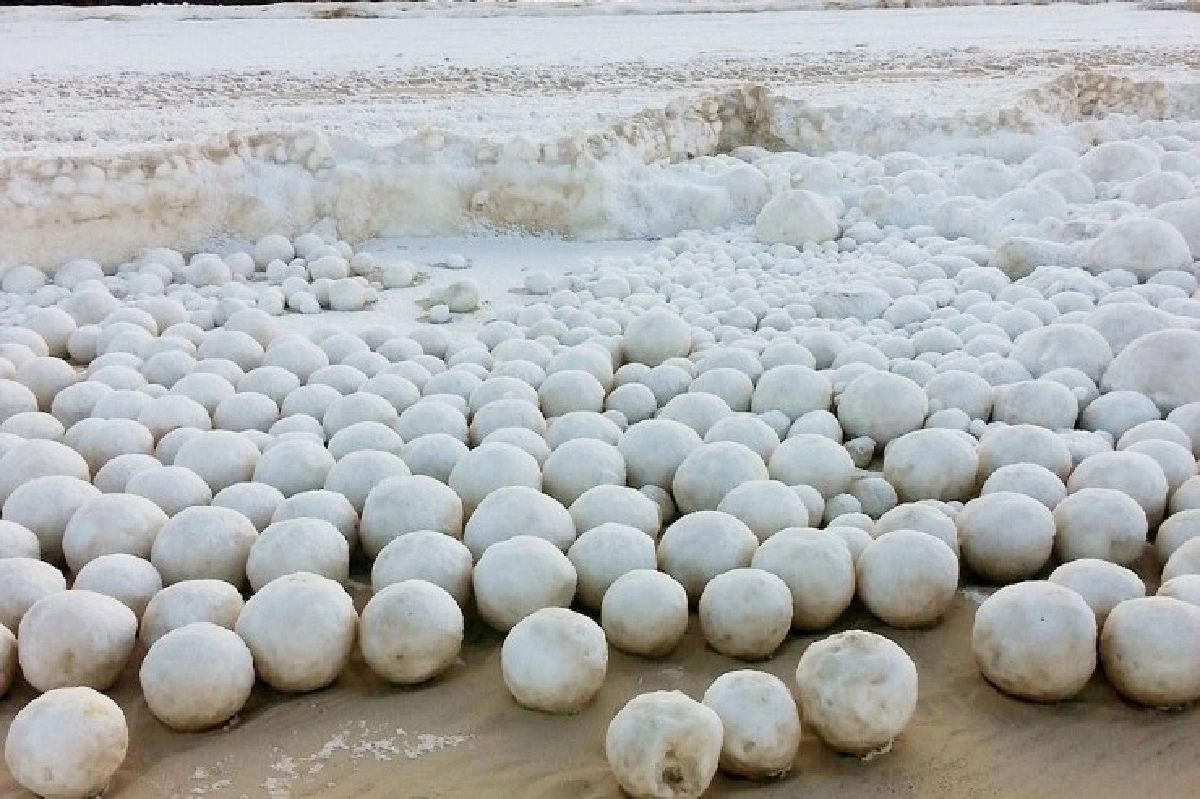 ตื่นตา! ลูกบอลหิมะก่อตัวเต็มหาดในไซบีเรีย