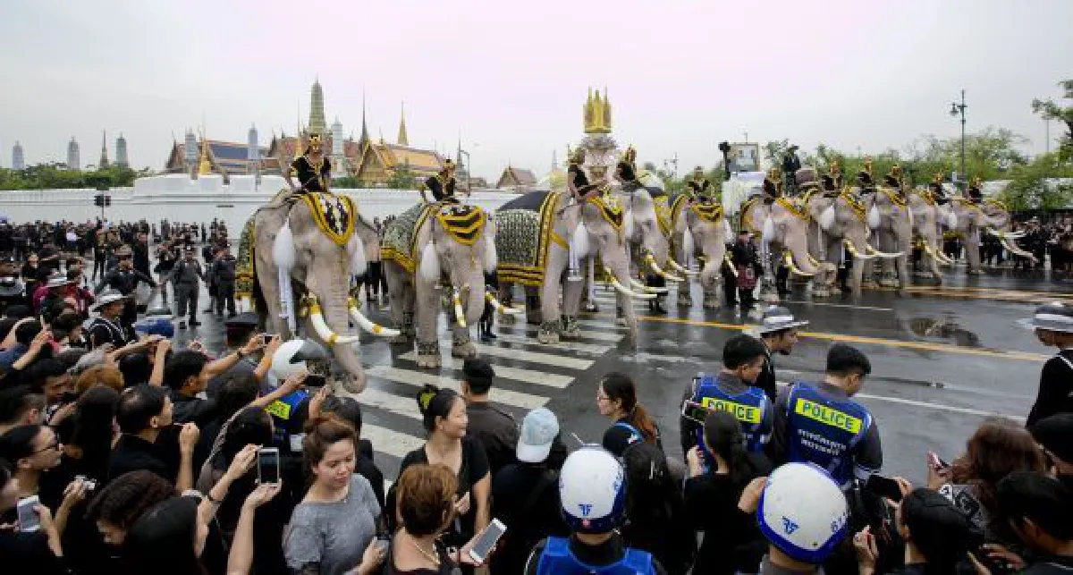 Elephants pay their respects to King Bhumibol