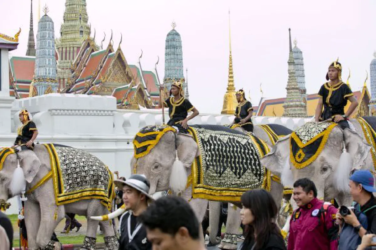 Elephants pay their respects to King Bhumibol