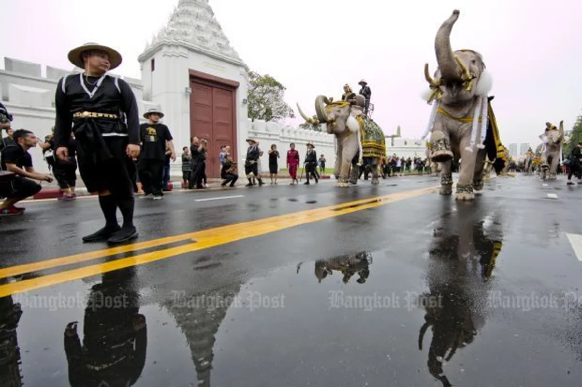Elephants pay their respects to King Bhumibol