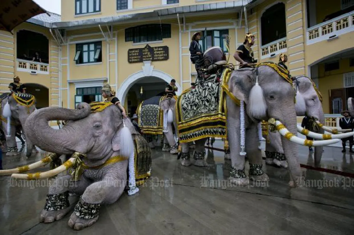 Elephants pay their respects to King Bhumibol