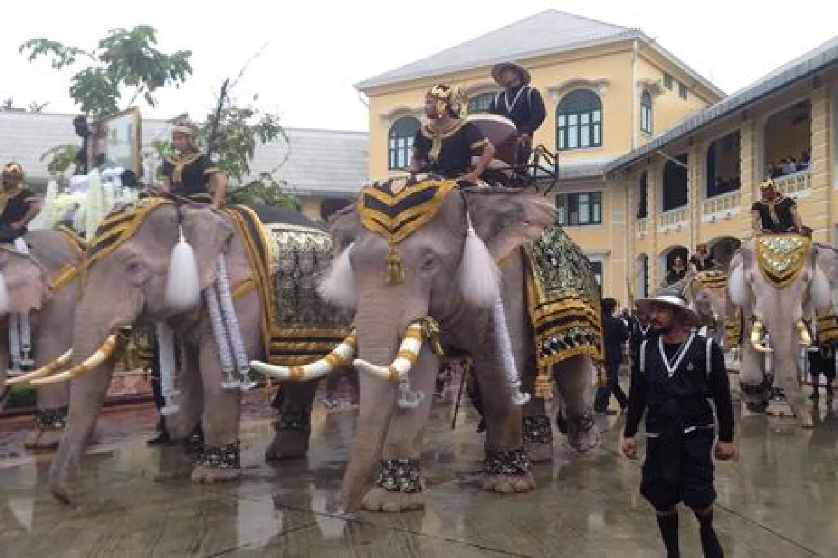 ช้าง11เชือกเตรียมถวายสักการะพระบรมศพ