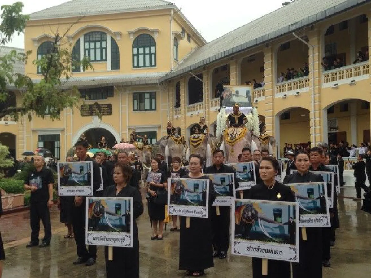 ขบวนช้างอยุธยาถวายสักการะพระบรมศพหน้าพระบรมมหาราชวัง