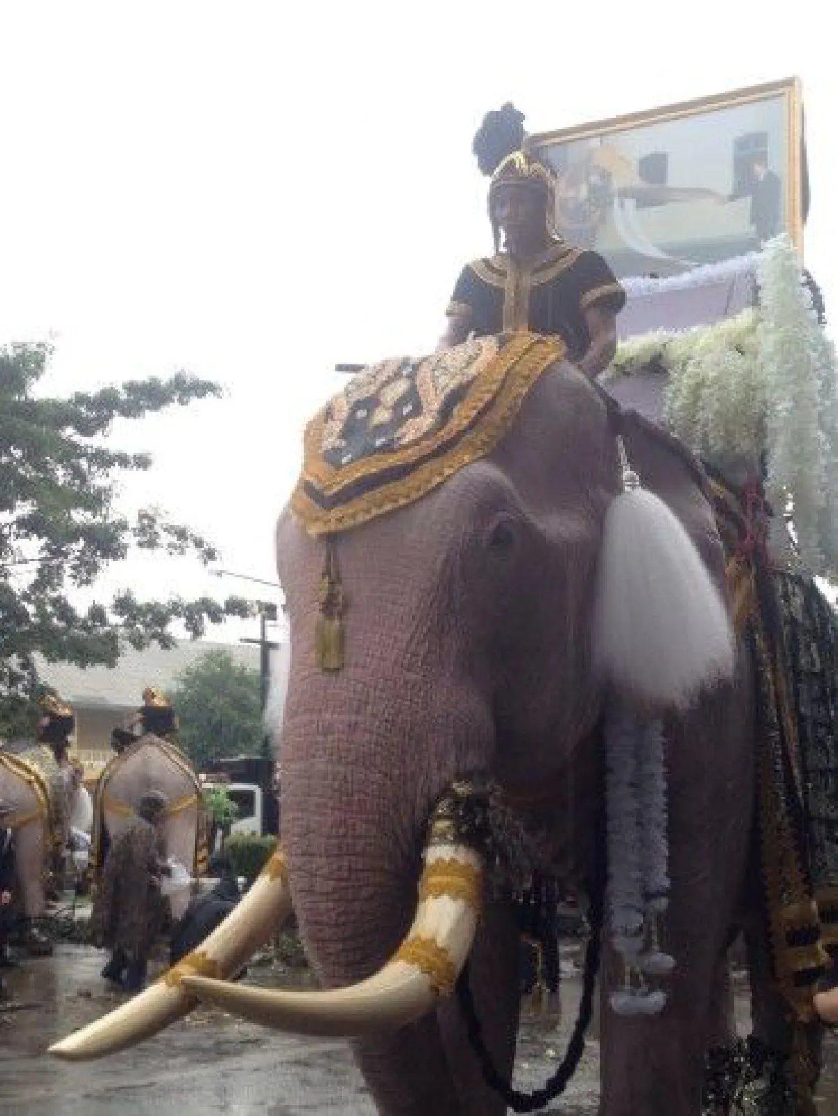 ขบวนช้างอยุธยาถวายสักการะพระบรมศพหน้าพระบรมมหาราชวัง