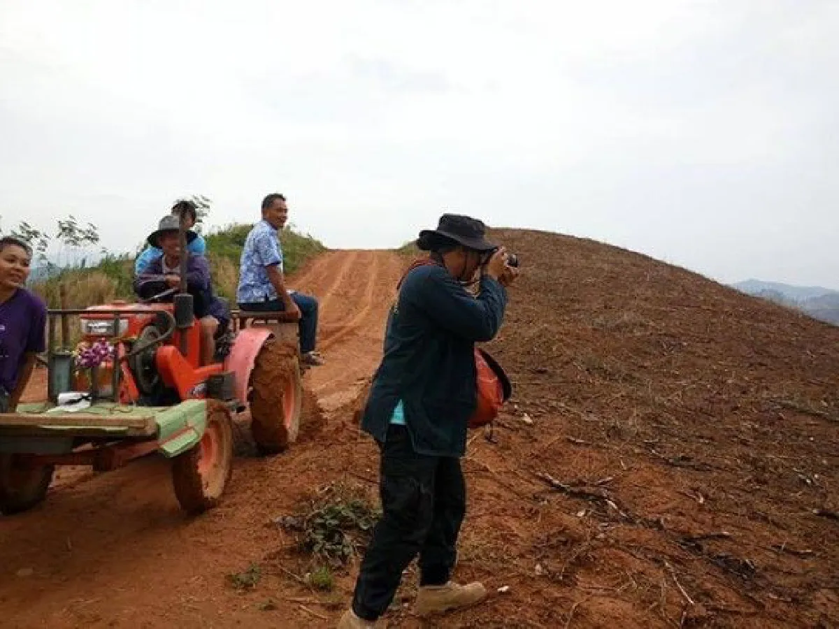 เผยภาพความเปลี่ยนแปลง "เขาหัวโล้นเพชรบูรณ์" หลังผ่านไป 1 ปี